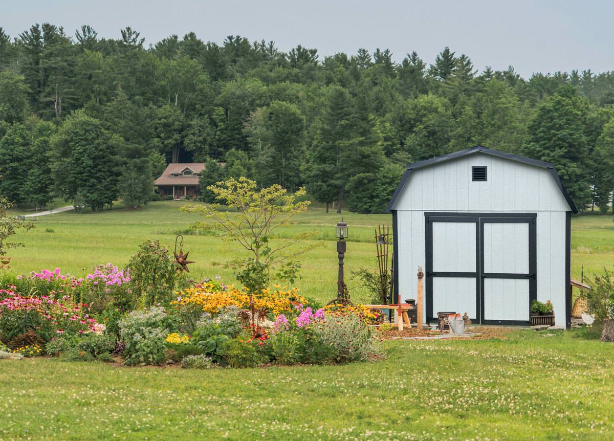 Barn style shed in a landscaped backyard